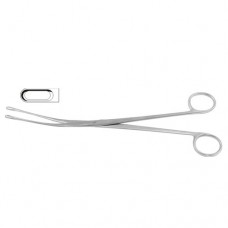 Desjardins Gall Stone Forcep Fig. 1 Stainless Steel, 23 cm - 9"